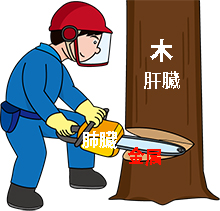 チェーンソー チェーンソー